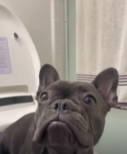 Shhh.. It’s Raining Outside !